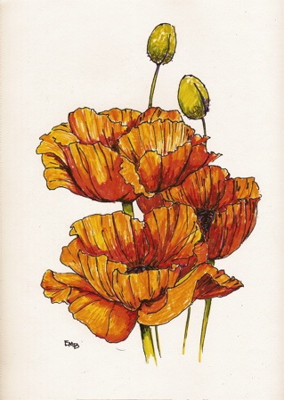 Poppies, 10x7 Poppies, 10x7