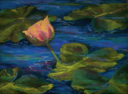 WDE April 6, Waterlily