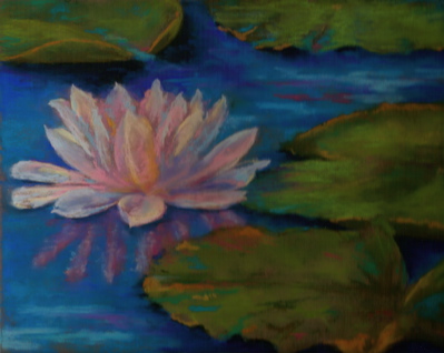 White Waterlily