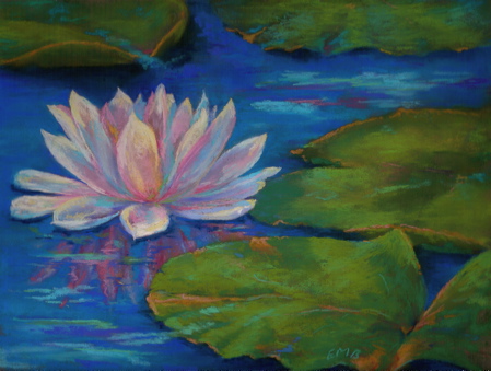 White Water Lily