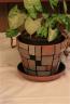 Mondrian Pot and Plant