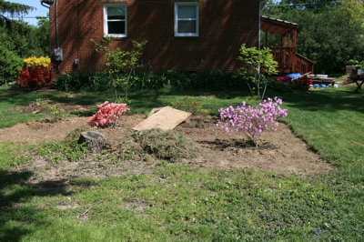 Crepe Myrtle Garden