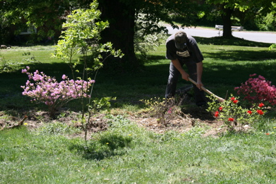 The Gardener