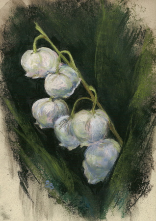 Lily of the Valley