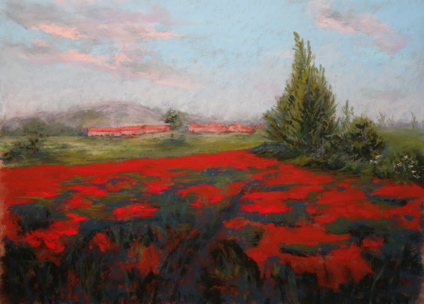 poppy field update