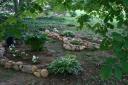 shade garden 1