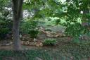shade garden 2