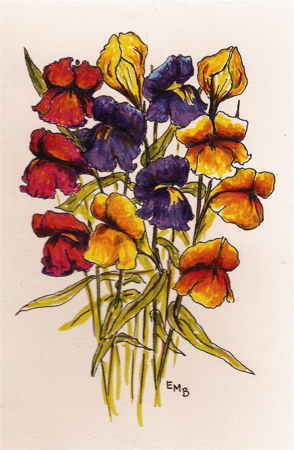 Snapdragons, 8x5