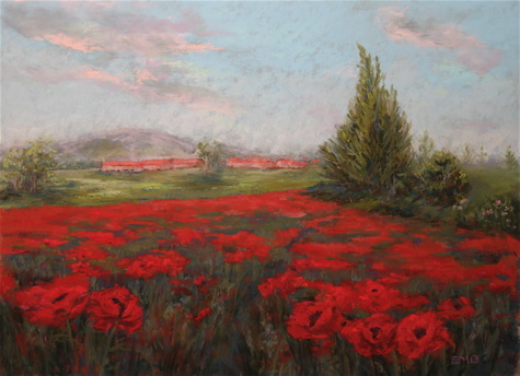 Field of Red Poppies, 12x16