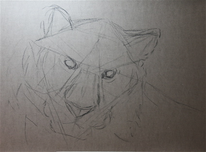 Tiger - initial sketch - vine charcoal