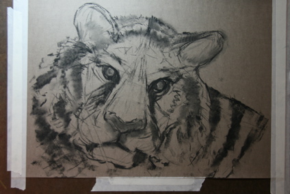 Tiger, step 2- vine charcoal