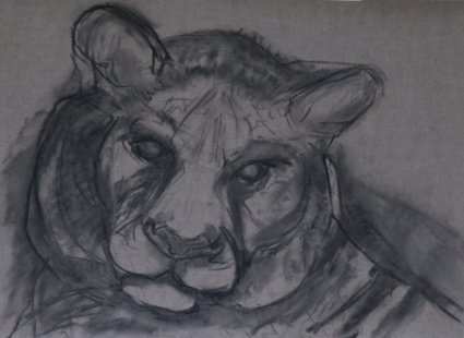 Tiger, revised