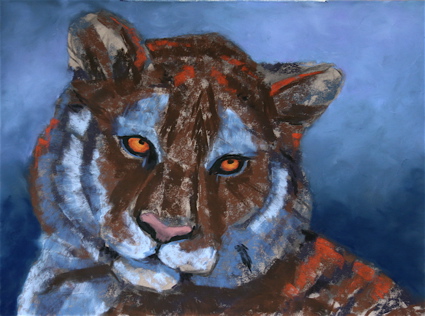Tiger with initial layers of pastel.