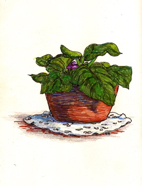 Violet