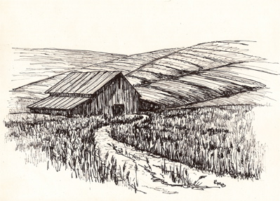 Barn in Field