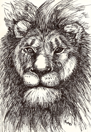Lion, ink